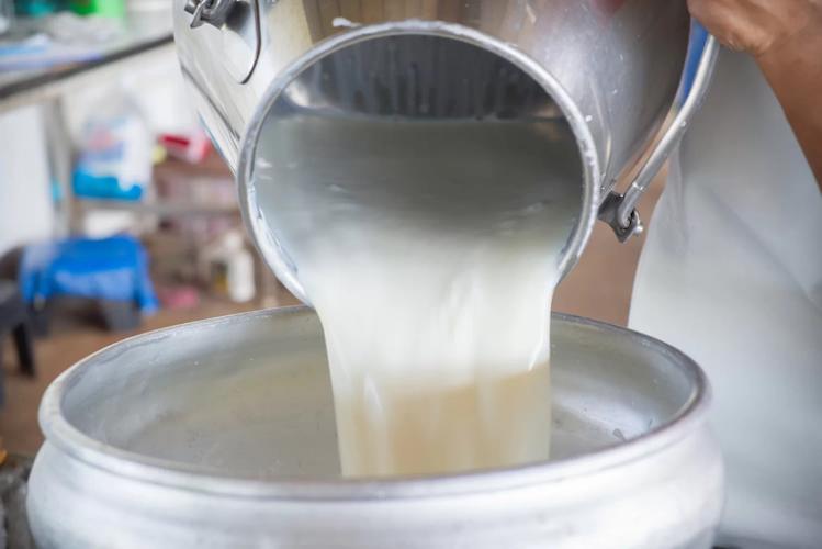 कच्चा दूध (Raw Milk) के जीवाणु बच्चे को बीमार कर सकते हैं